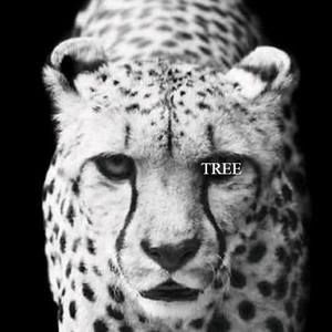 Meet your Posher, Henery